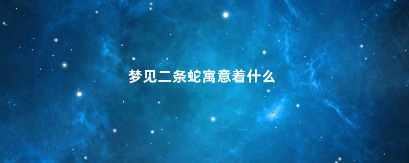 梦见二条蛇寓意着什么