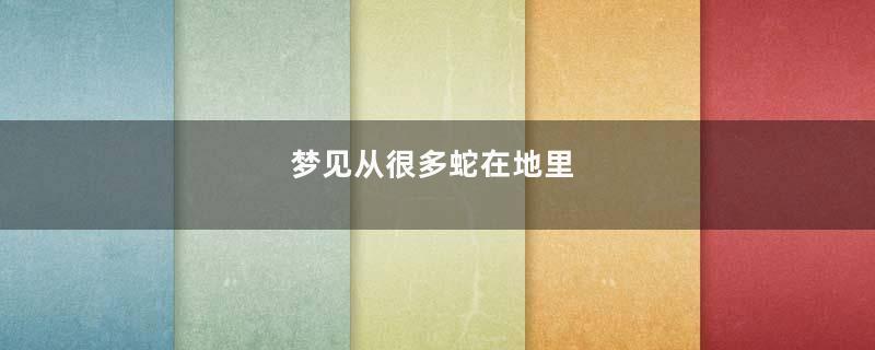 梦见从很多蛇在地里