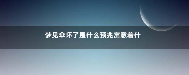 梦见伞坏了是什么预兆寓意着什么意思