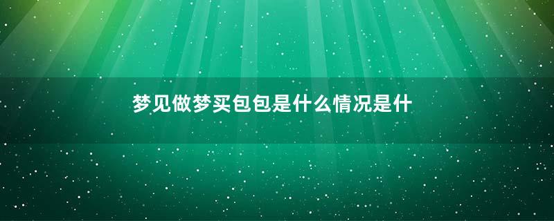 梦见做梦买包包是什么情况是什么预兆