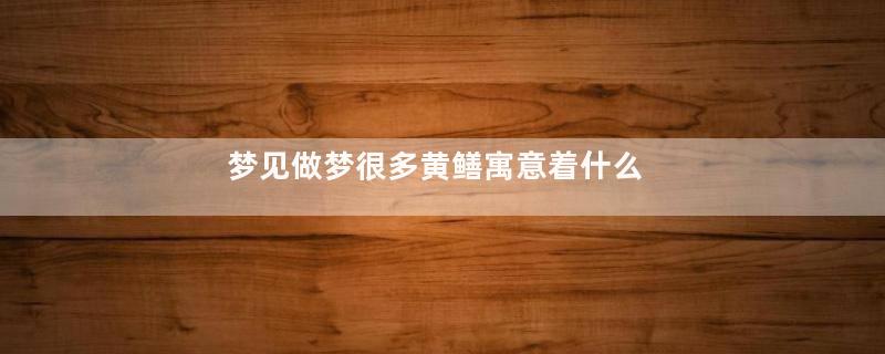 梦见做梦很多黄鳝寓意着什么