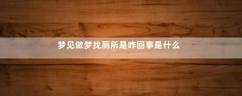 梦见做梦找厕所是咋回事是什么意思