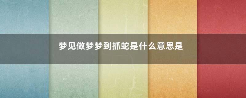 梦见做梦梦到抓蛇是什么意思是什么预兆