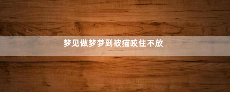 梦见做梦梦到被猫咬住不放