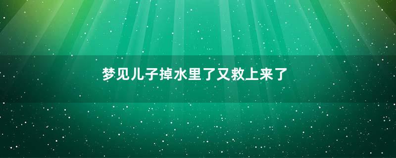 梦见儿子掉水里了又救上来了