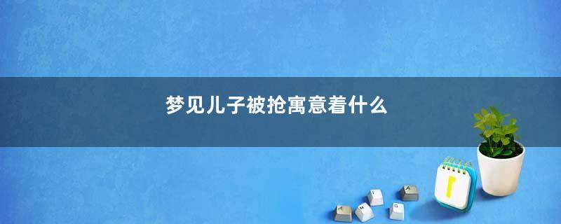 梦见儿子被抢寓意着什么