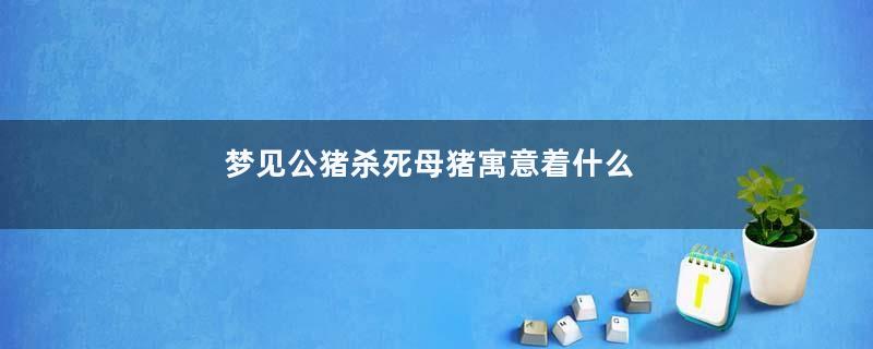 梦见公猪杀死母猪寓意着什么