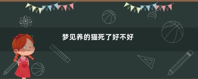 梦见养的猫死了好不好