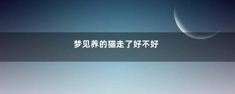 梦见养的猫走了好不好