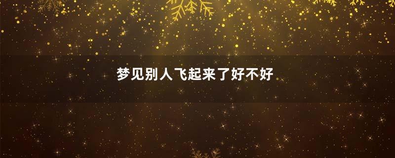 梦见别人飞起来了好不好