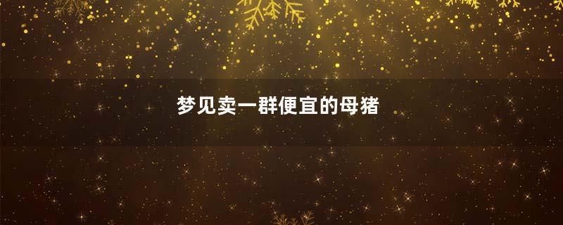 梦到卖一群便宜的母猪