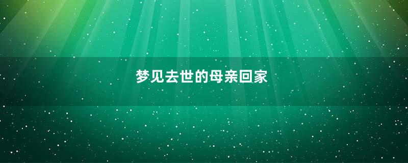 梦见去世的母亲回家