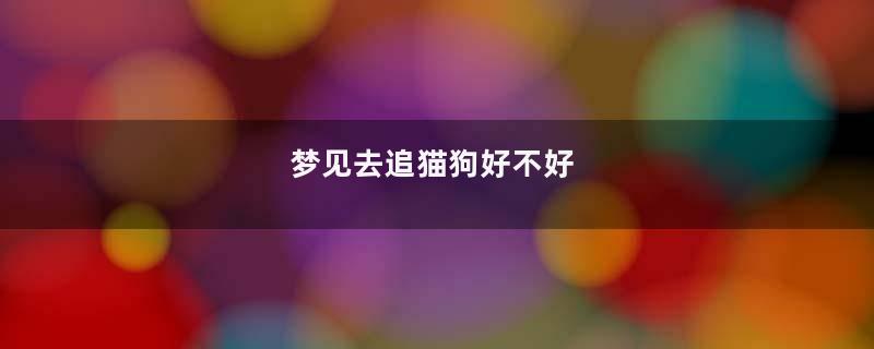 梦见去追猫狗好不好