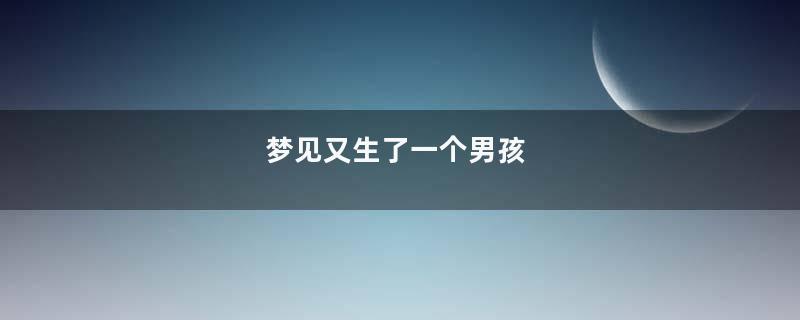 梦见又生了一个男孩