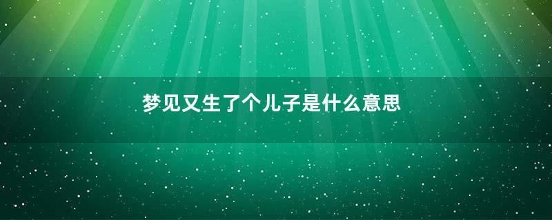 梦见又生了个儿子是什么意思