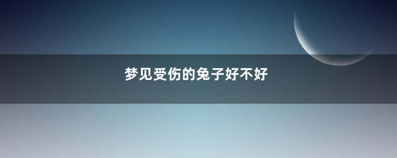 梦见受伤的兔子好不好