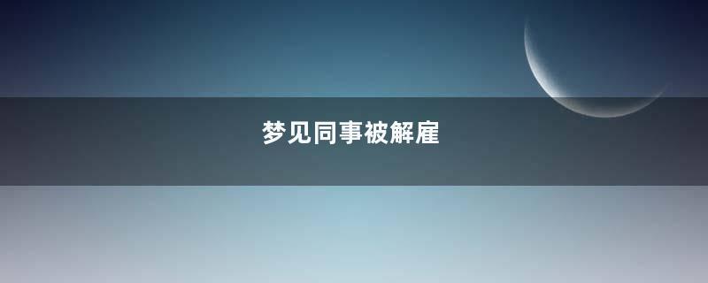 梦见同事被解雇