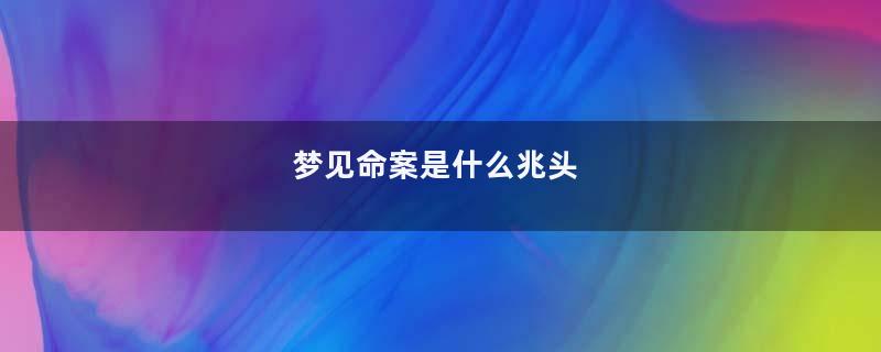 梦见命案是什么兆头