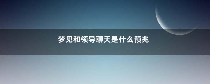 梦见和领导聊天是什么预兆