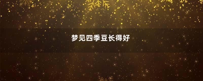 梦见四季豆长得好