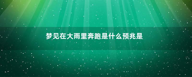 梦见在大雨里奔跑是什么预兆是什么意思