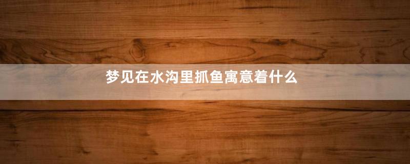 梦见在水沟里抓鱼寓意着什么