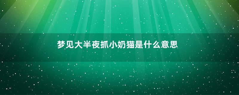 梦见大半夜抓小奶猫是什么意思
