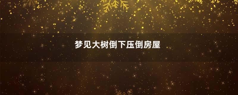 梦见大树倒下压倒房屋