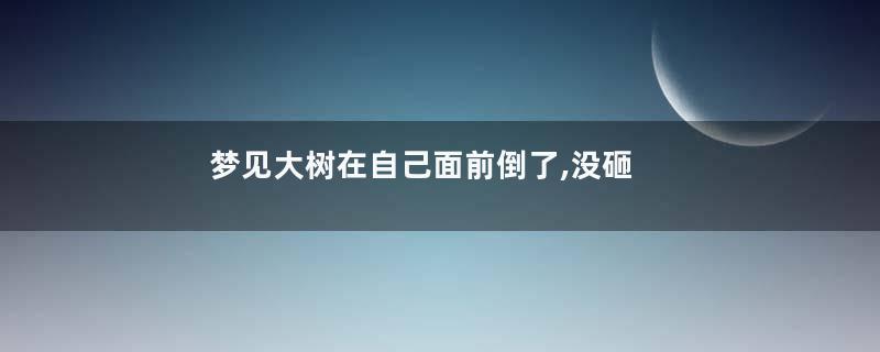 梦见大树在自己面前倒了,没砸到自己