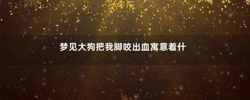 梦见大狗把我脚咬出血寓意着什么