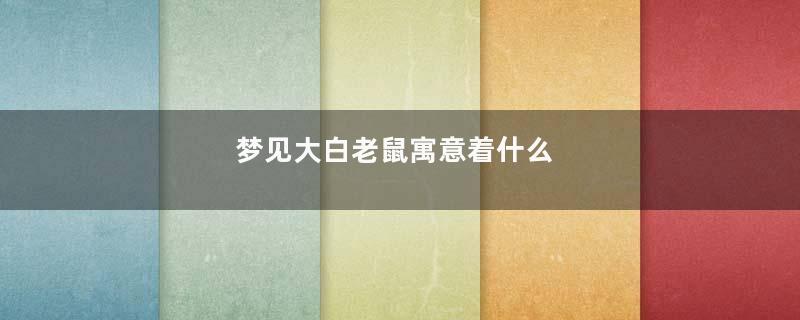 梦见大白老鼠寓意着什么