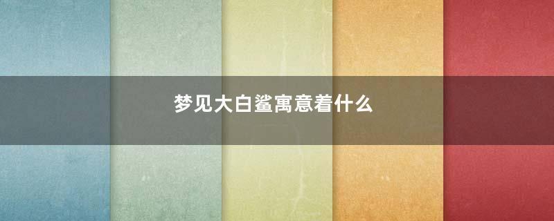 梦见大白鲨寓意着什么