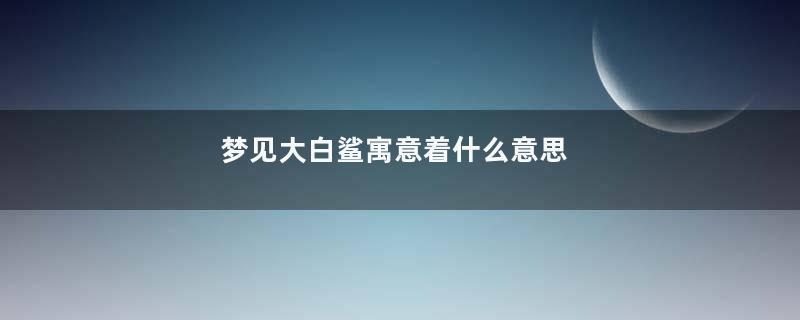 梦见大白鲨寓意着什么意思