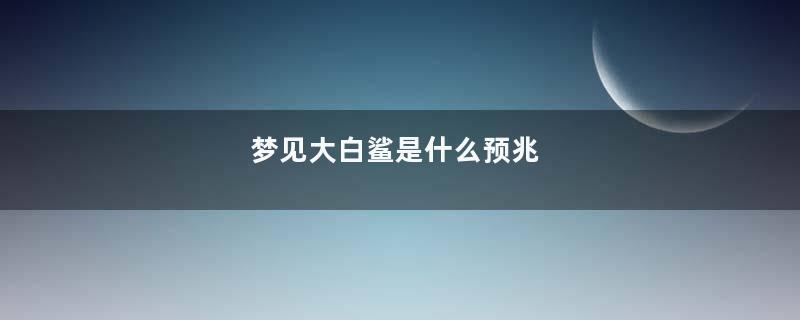 梦见大白鲨是什么预兆