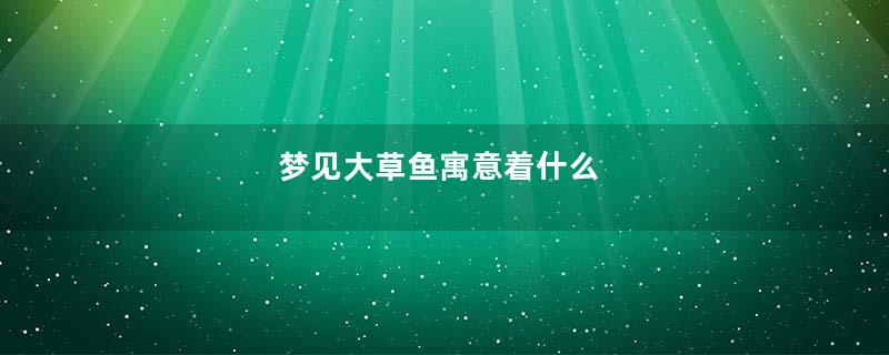 梦见大草鱼寓意着什么