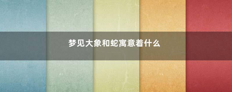 梦见大象和蛇寓意着什么