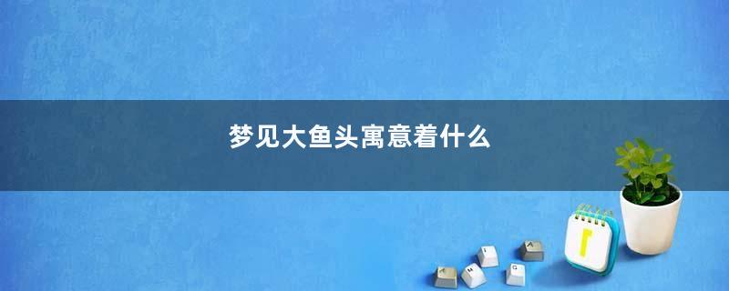 梦见大鱼头寓意着什么