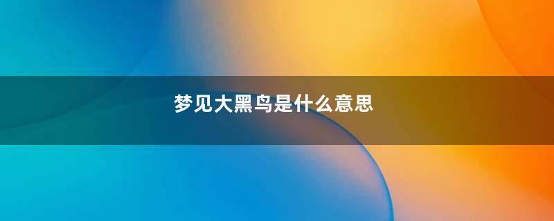 梦见大黑鸟是什么意思