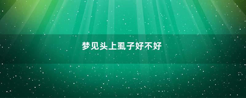 梦见头上虱子好不好