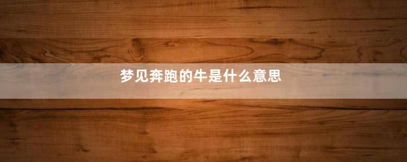 梦见奔跑的牛是什么意思