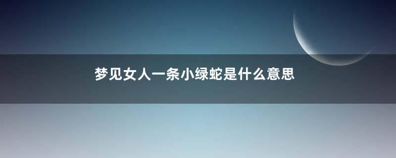 梦见女人一条小绿蛇是什么意思