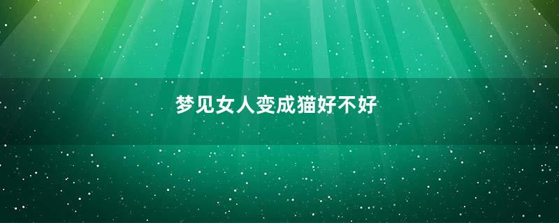梦见女人变成猫好不好