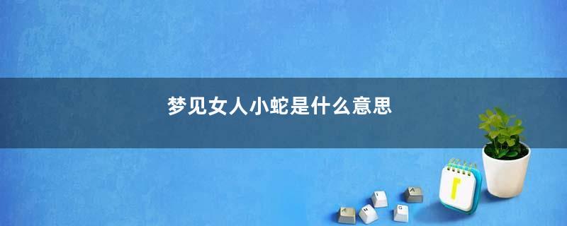 梦见女人小蛇是什么意思