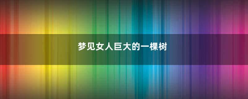 梦见女人巨大的一棵树