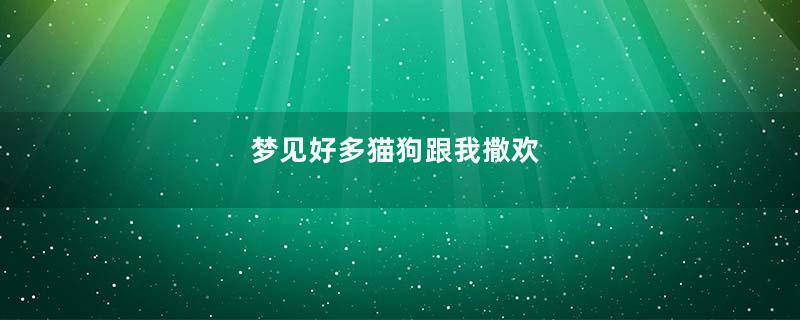梦见好多猫狗跟我撒欢