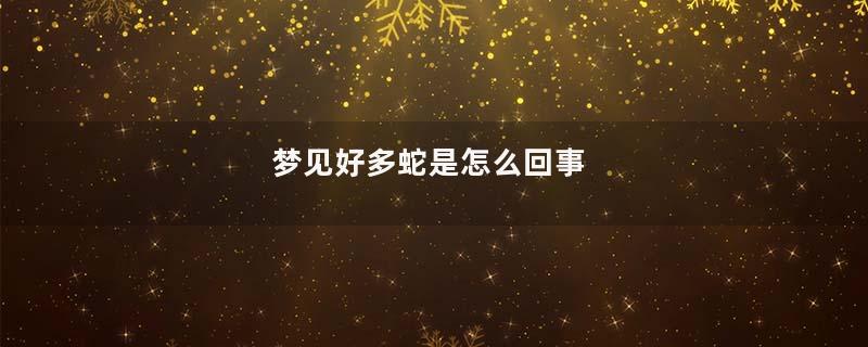 梦见好多蛇是怎么回事