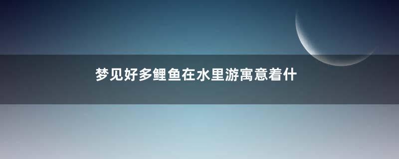 梦见好多鲤鱼在水里游寓意着什么