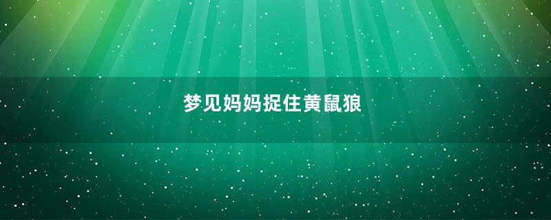 梦见妈妈捉住黄鼠狼