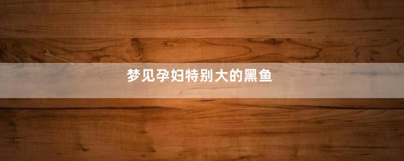 梦见孕妇特别大的黑鱼