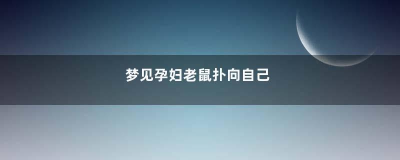 梦见孕妇老鼠扑向自己